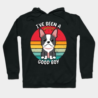 Cute frenchie dog is a good boy Hoodie